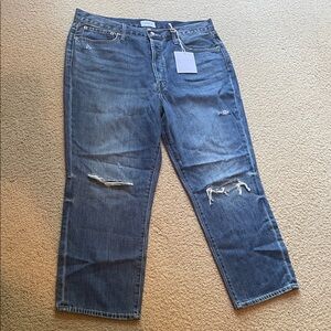 Pistola Blue Distressed Flare Jeans